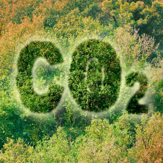 Climate @ G-STIC 2023