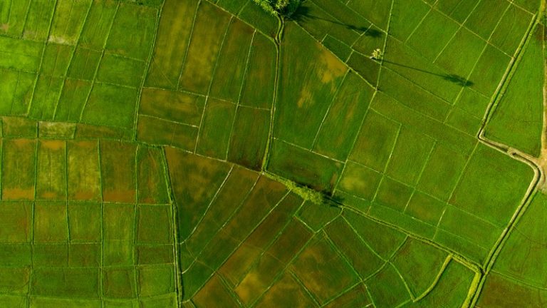 Satellite mapping makes agriculture more sustainable