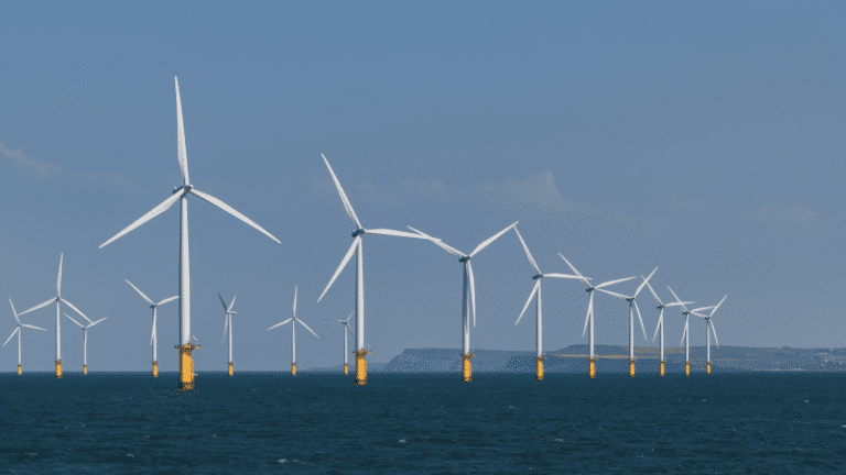 Renewable energy capacity hits record growth