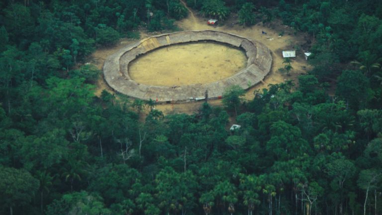 The natural capital of the Amazonian rainforest