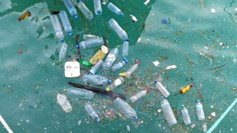 Remote sensing technologies to detect marine plastic litter