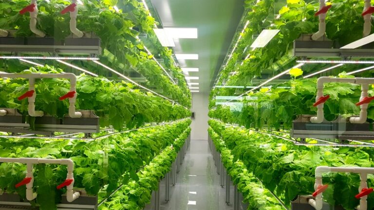 Food security with vertical farming