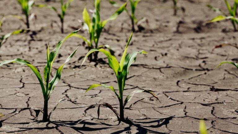 What measures can we take to reduce the impact of flash droughts